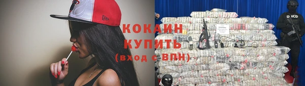 ешки Вязьма