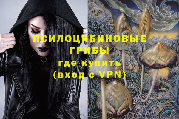 дурь Вязники