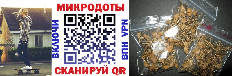 Псилоцибиновые грибы мицелий Улан-Удэ
